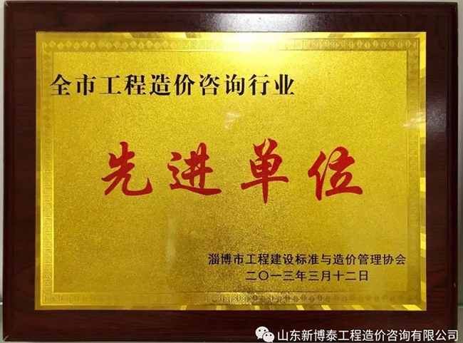 全市工程造价咨询行业先进单位